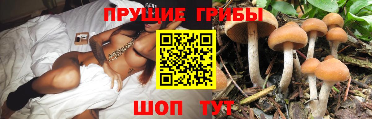 Еманжелинск  Галлюциногенные грибы мухоморы  Галлюциногенные грибы Psilocybine cubensis  Вход с VPN 